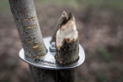 Petromax Dreibein-Ring -Camping-Abenteuer petromax dreibeinring detail d ring