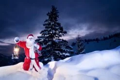 Petromax Petroleumlampe HK500/829 Chrom -Camping-Abenteuer petromax starklichtlampe hk500 px5c 20